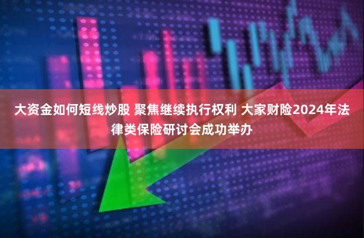 大资金如何短线炒股 聚焦继续执行权利 大家财险2024年法律类保险研讨会成功举办