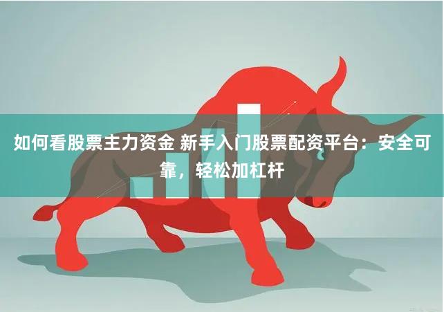如何看股票主力资金 新手入门股票配资平台：安全可靠，轻松加杠杆