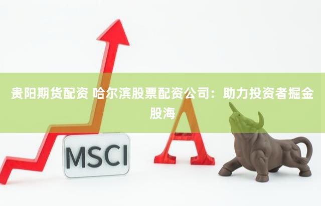 贵阳期货配资 哈尔滨股票配资公司：助力投资者掘金股海