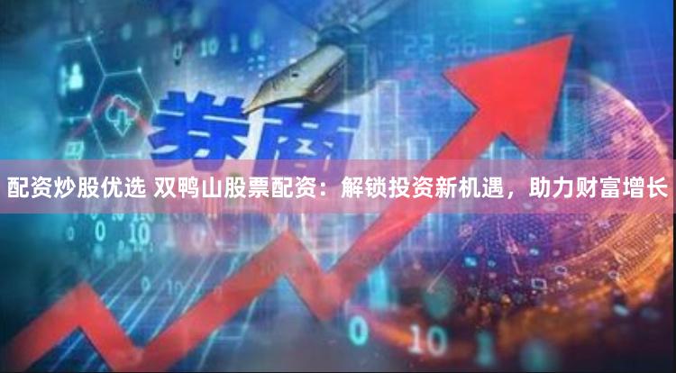 配资炒股优选 双鸭山股票配资:解锁投资新机遇,助力财富增长